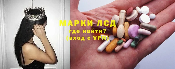 СК Медвежьегорск