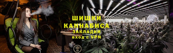 СК Медвежьегорск