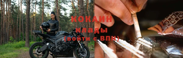 СК Медвежьегорск