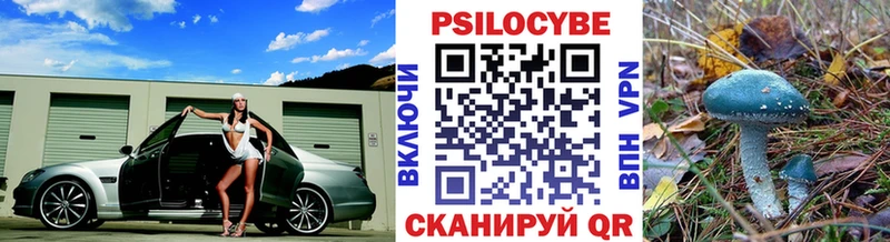 MEGA как зайти  Домодедово  Псилоцибиновые грибы мухоморы 
