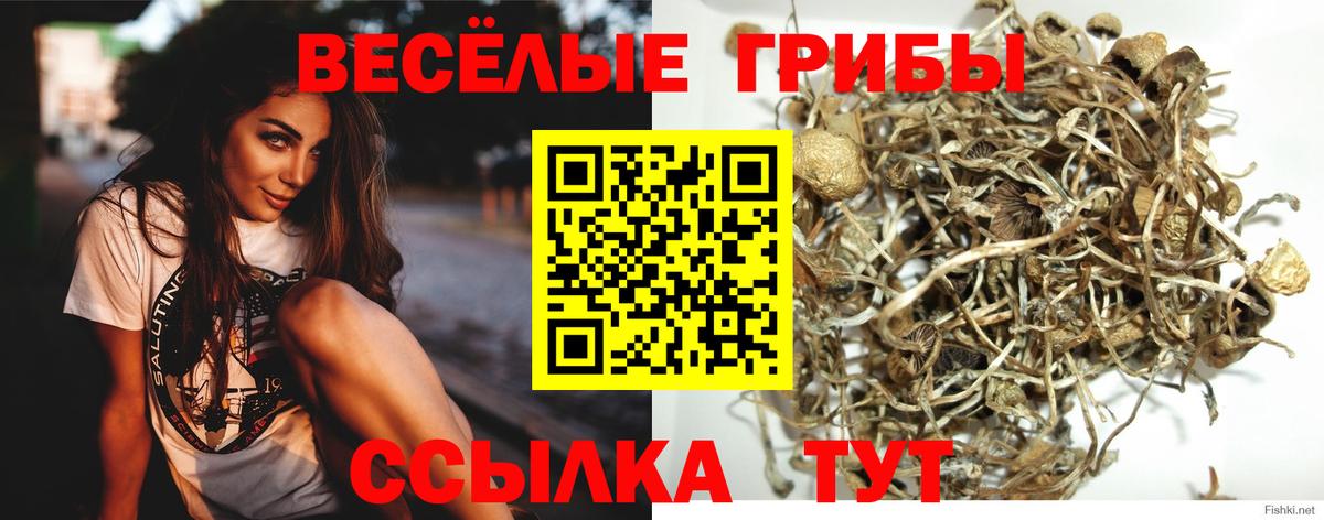 Псилоцибиновые грибы ЛСД Домодедово