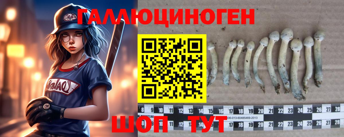 Домодедово  Галлюциногенные грибы ЛСД  Вход с VPN  Псилоцибиновые грибы Psilocybe 